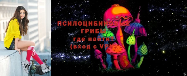 твердый Аркадак